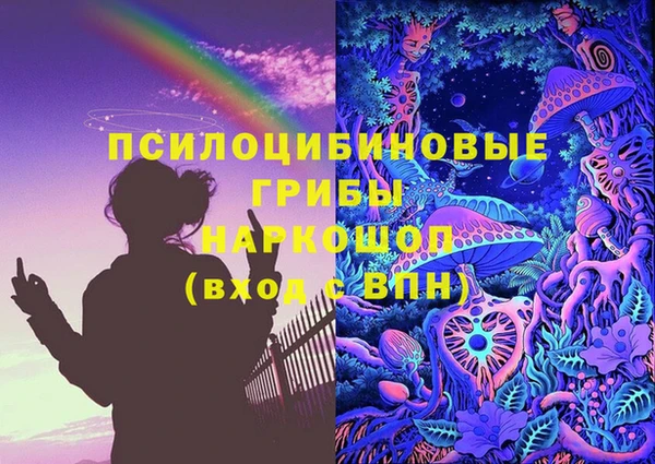 дмт Гусь-Хрустальный